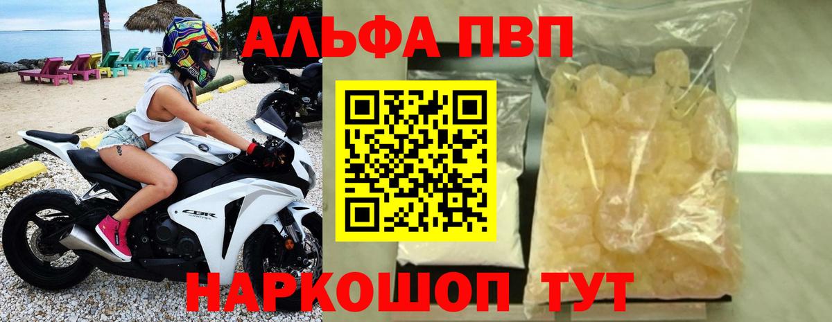 Alfa_PVP СК КРИС Черкесск