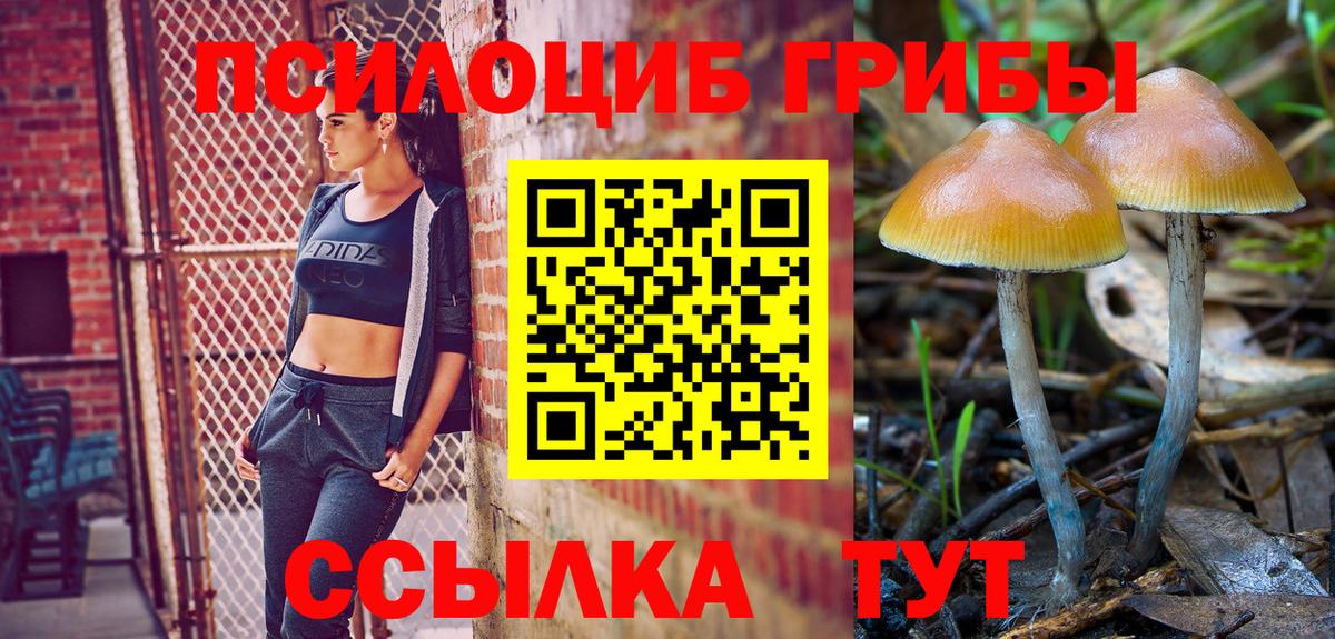 Псилоцибиновые грибы Magic Shrooms Черкесск