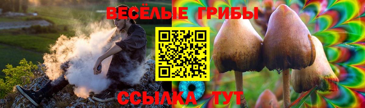 Псилоцибиновые грибы Psilocybine cubensis  Вход с VPN  цены   Галлюциногенные грибы Magic Shrooms  Черкесск 